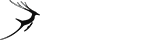 仓储管理平台的手机号验证码轰炸免费